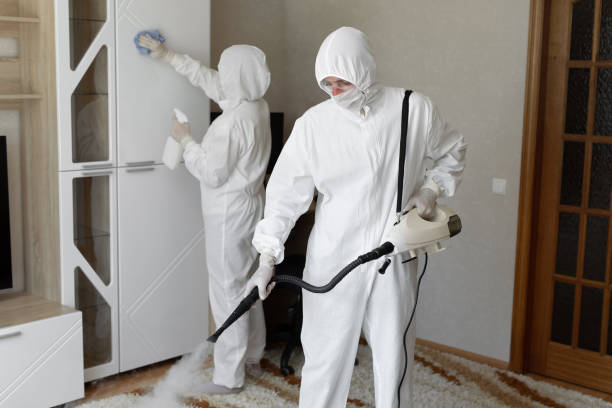 24/7 Emergency Odor Removal experts in Milan, MI